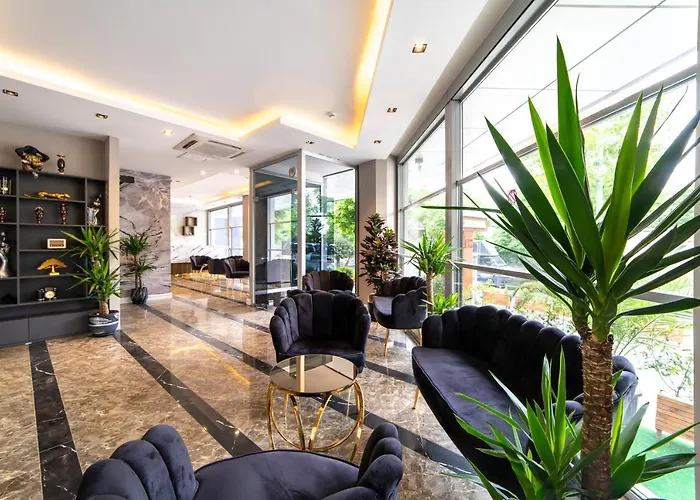 Garden * 伊斯坦布尔